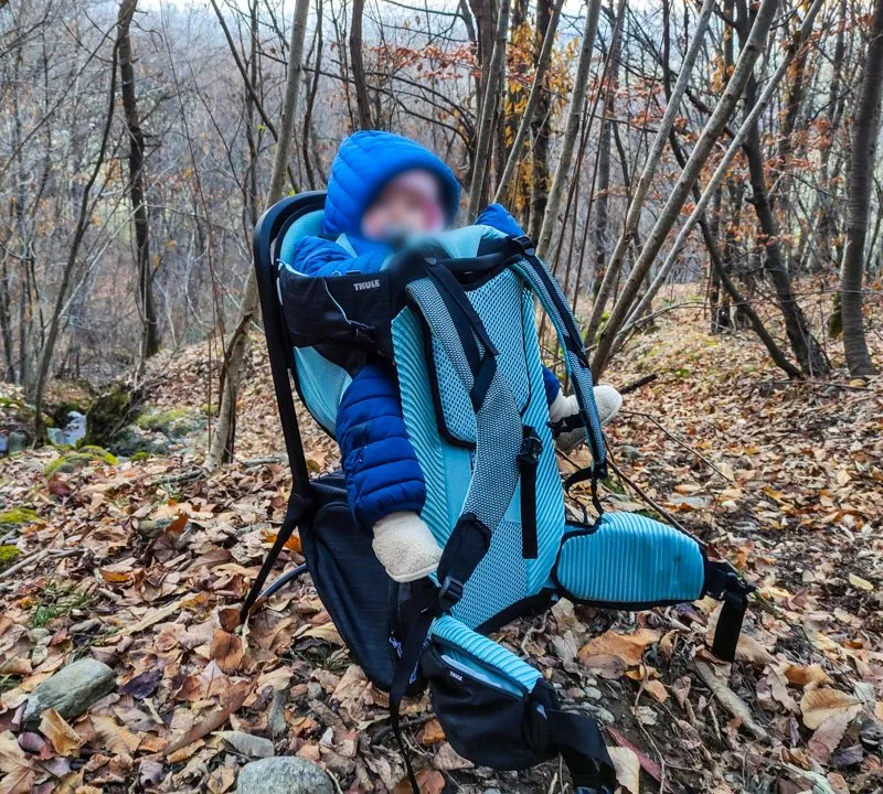 Thule sapling review sale